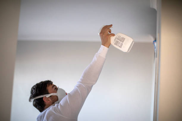 Best Home Mold Removal  in Griffith, IN