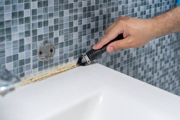 Best Mold Damage Repair  in Griffith, IN