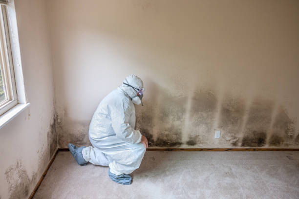 Best Mold Testing  in Griffith, IN